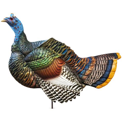 Dave smith decoys - In celebration of turkey week, we’re offering site wide free shipping on all of our turkey decoys and gear. No coupon or codes needed, just add the items to your cart and get free shipping anywhere in the Lower 48. Offer excludes A.C.E. Goose and Deer Decoys. Excludes other Alaska, Hawaii and other countries.